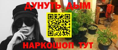 ешки Можга