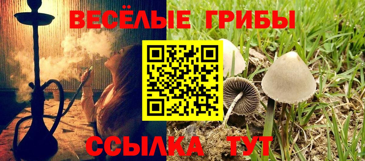 Псилоцибиновые грибы мухоморы  Вход с VPN  Псилоцибиновые грибы Magic Shrooms  цены наркотик  Унеча 